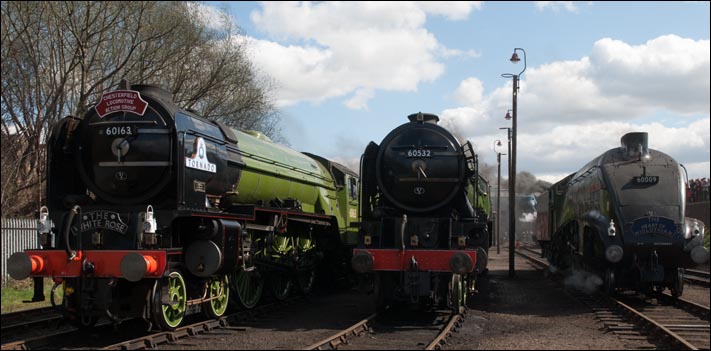 LNER A1 60163 Tornado and A2 60532 Blue Peter and A4 60009 Union of South Africa all lined up at Barrow Hill 