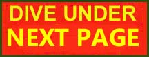 Next page Is on more on the Werrington  Dive under at Peterborough in  2021