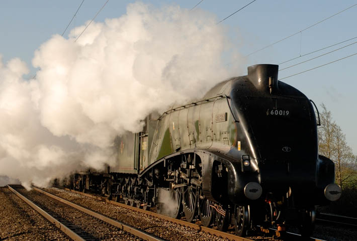 A4 60019 Bittern at Conington 