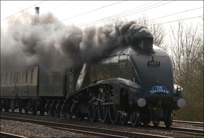 A4 no.60019 Bittern on The Talisman on Saturday the 1st March in 2008