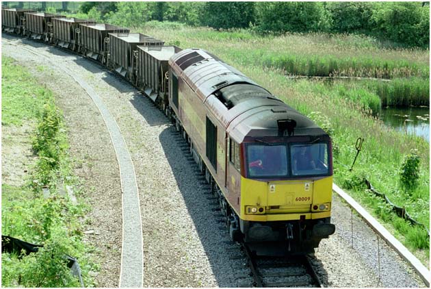 EWS class 60 009 into Whitemoor on the Whitemoor open day Sunday