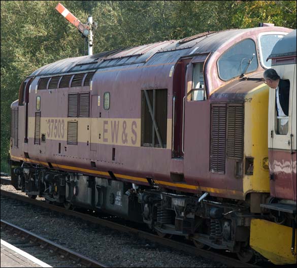 Class 37503 at Orton Mere in 2011