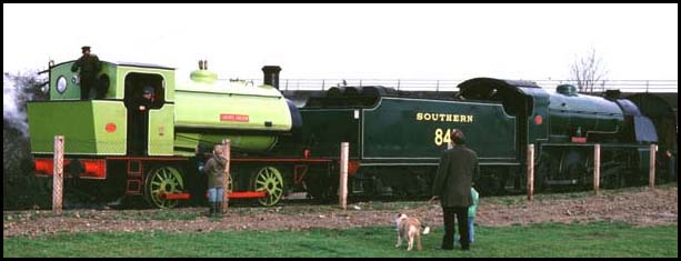 Jacks Green and Green King  at Orton Mere NVR