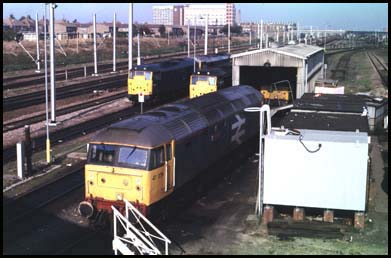  A class 47 and two 31s at the small depot at Peterborough
