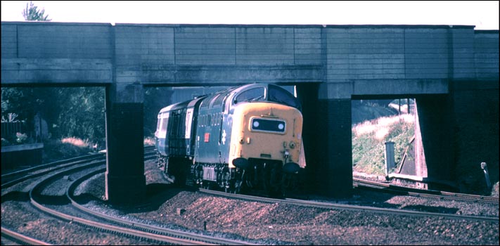 A Class 55 Deltic on the down fast comes under Peacock bridge
