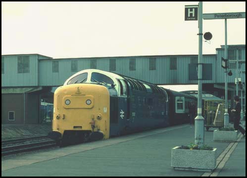 Deltic Class 55003 in platform 4 at Peterborough on a down train
