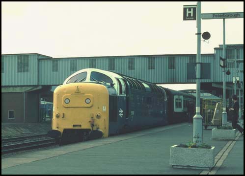 Deltic Class 55003 in platform 4 at Peterborough on a down train