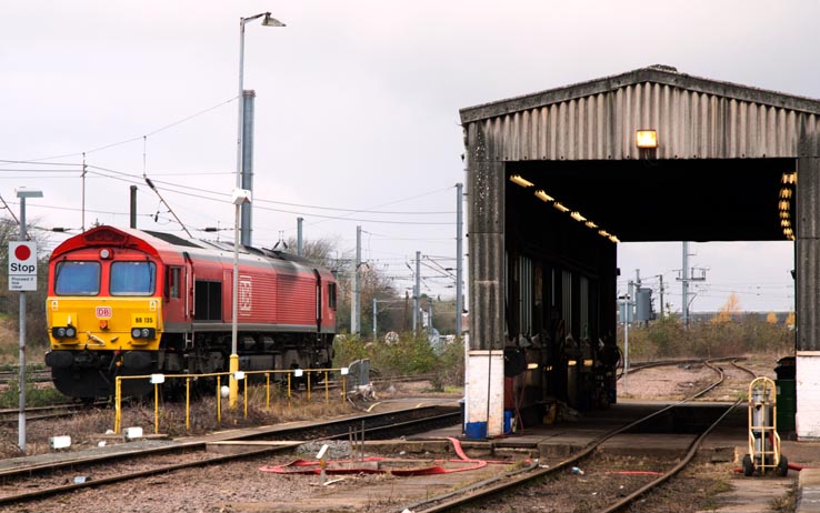 DB class 66135 next to the Depot
