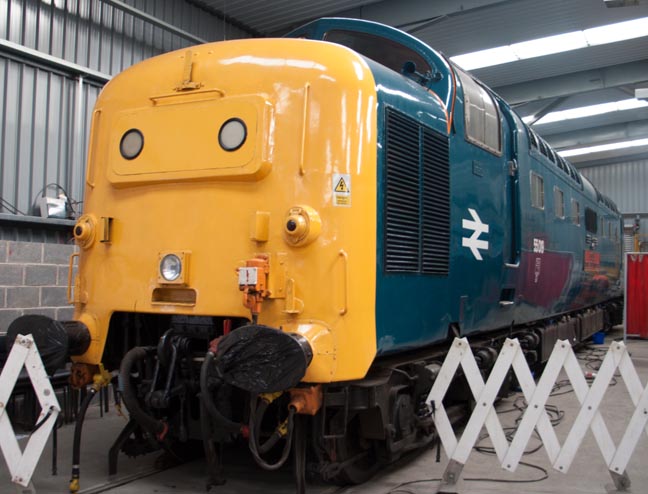 Deltic Class 55019 Royal Highland Fusilier 