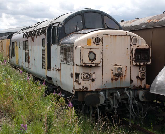 Class 37 079 at Barrow Hill  Class 37 079 at Barrow Hill
