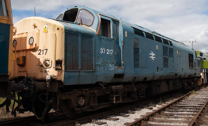 Class 37 217 at Barrow Hill  Class 37 217 at Barrow Hill