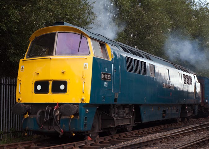 D1023 Western Fusilier  D1023 Western Fusilier