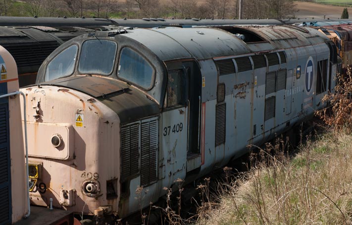 Class 37 409 