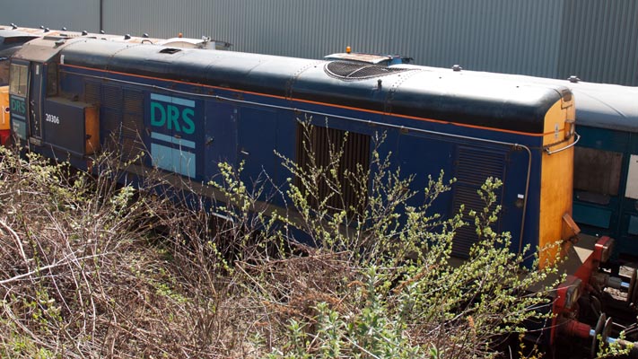 DRS class 20306 at Barrow Hill 