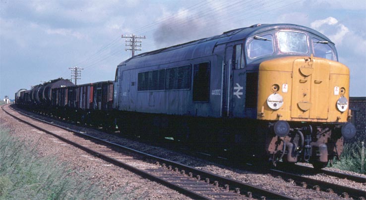 Class 44002 on a freight 