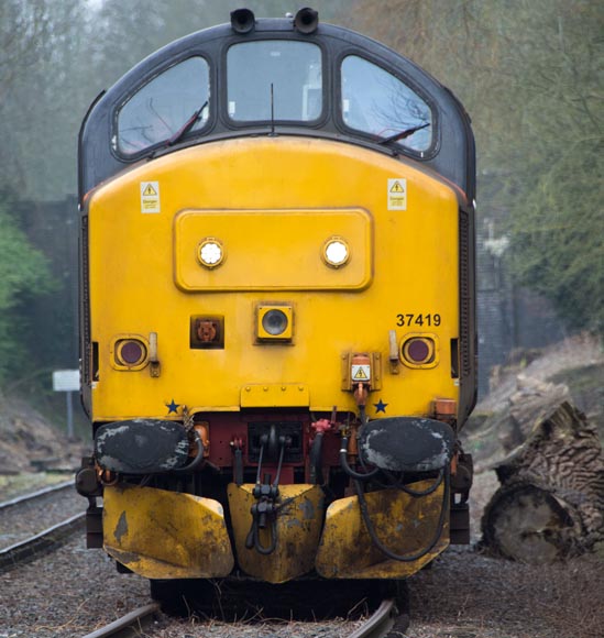 Class 37419 at Wymondam 