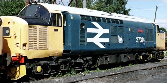 Class 37314 in BR blue and Large BR Arrows and full yellow ends  Class 37314 in BR blue and Large BR Arrows and full yellow ends in 2005