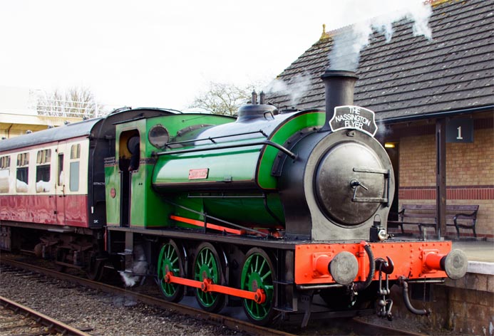 Ring Haw at Orton Mere on the 1st of Febuary 2015 